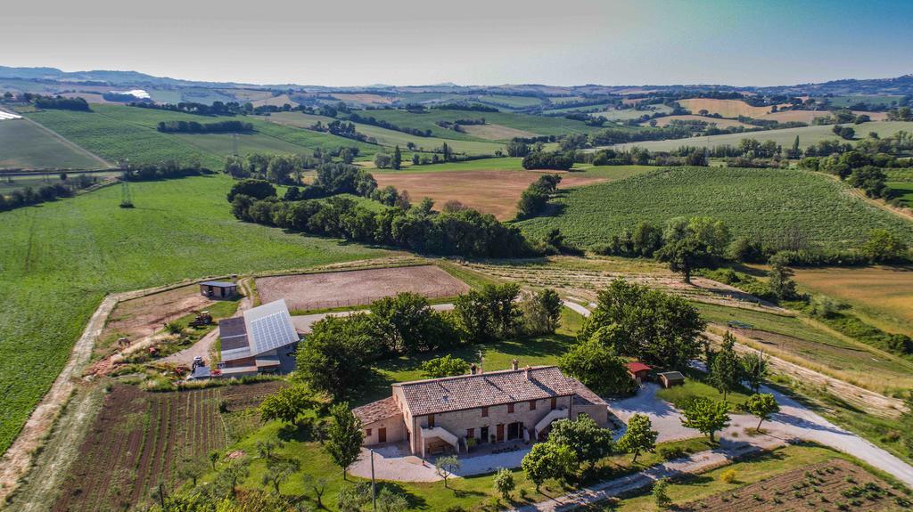 Casale Talevi Villa Cartoceto Bagian luar foto