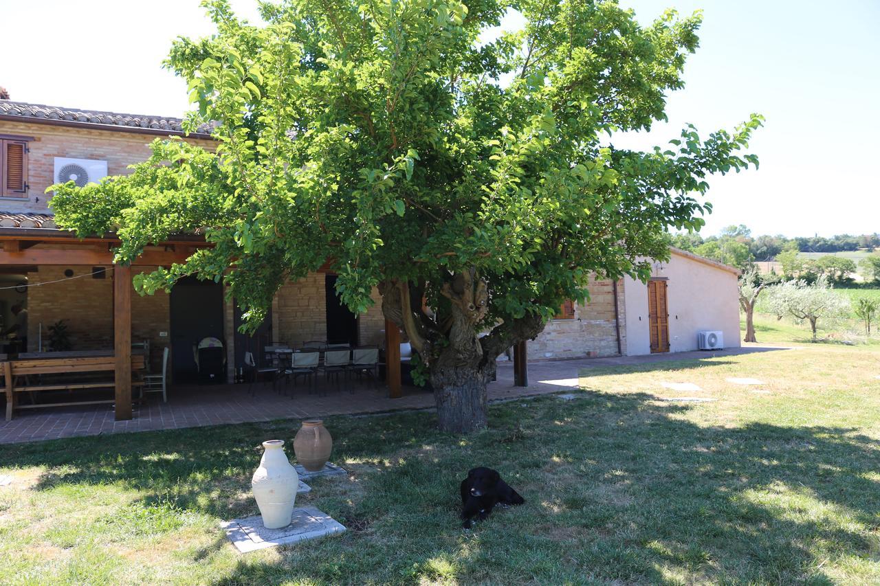 Casale Talevi Villa Cartoceto Bagian luar foto